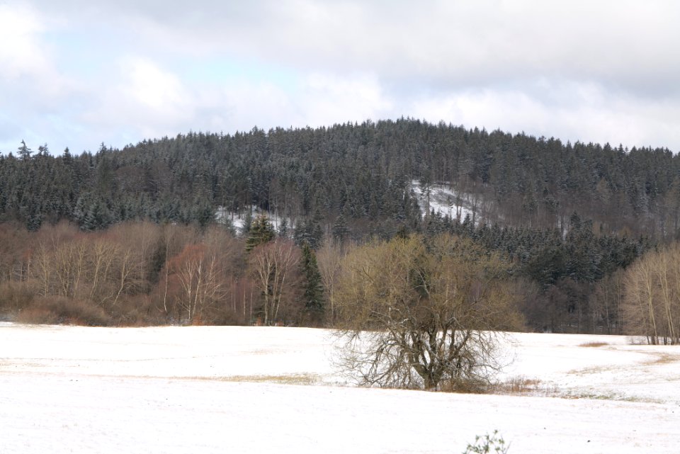 Reifenberger Wiesen with snow 2021-04-06 20