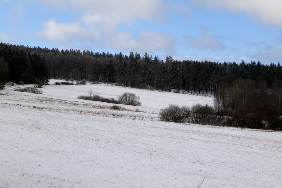 Reifenberger Wiesen with snow 2021-04-06 15