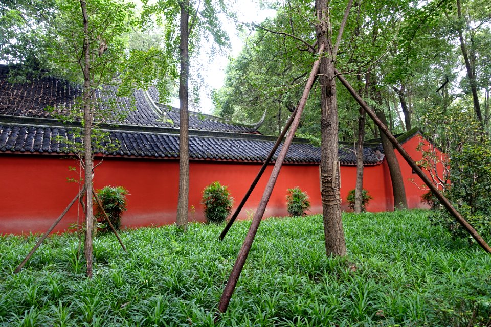 Red wall - Wenshu Monastery - Chengdu, China - DSC05081