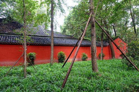 Red wall - Wenshu Monastery - Chengdu, China - DSC05081