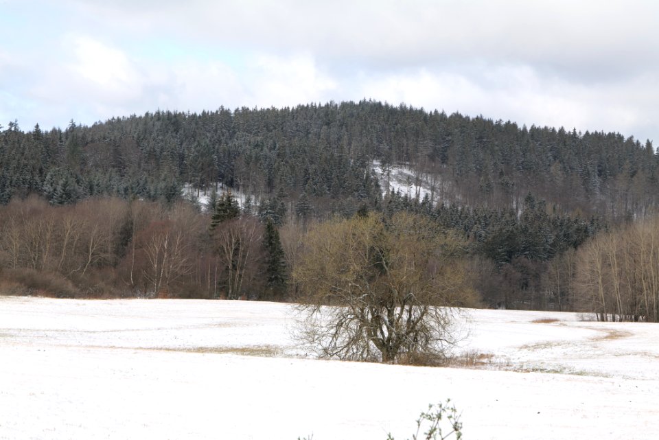 Reifenberger Wiesen with snow 2021-04-06 23