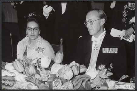 Reeks 020-0190 tm 020-0195 staatsbezoek koning en koningin uit Nepal aan Nederl, Bestanddeelnr 020-0194
