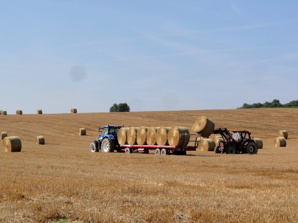 Regny (Aisne) harvesting