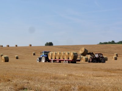 Regny (Aisne) harvesting