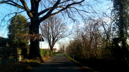 ReggioEMILIA 06