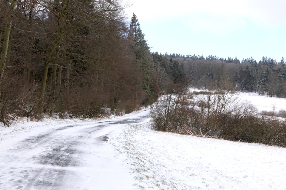 Reifenberger Wiesen with snow 2021-04-06 28