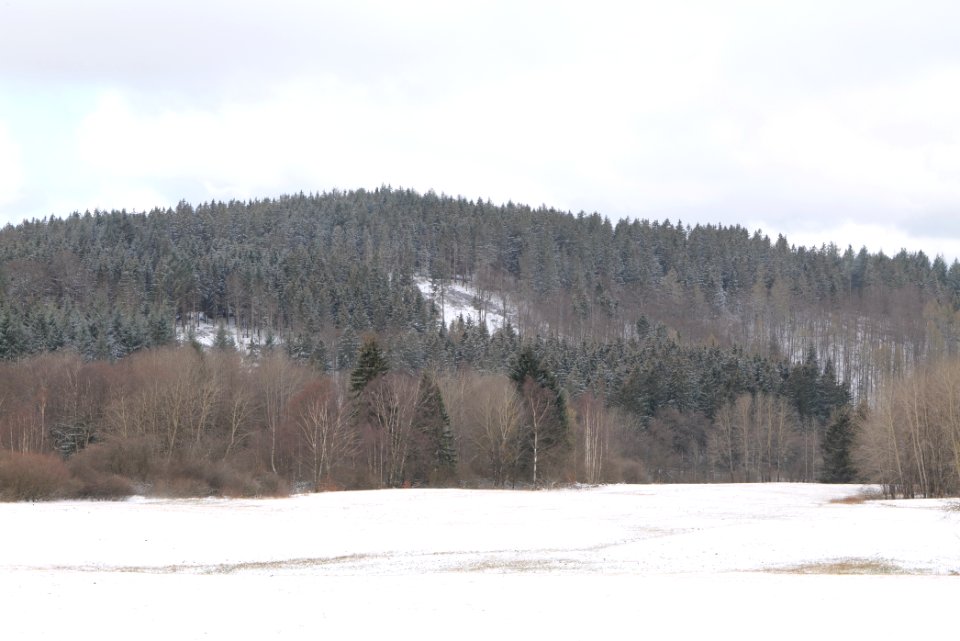 Reifenberger Wiesen with snow 2021-04-06 27