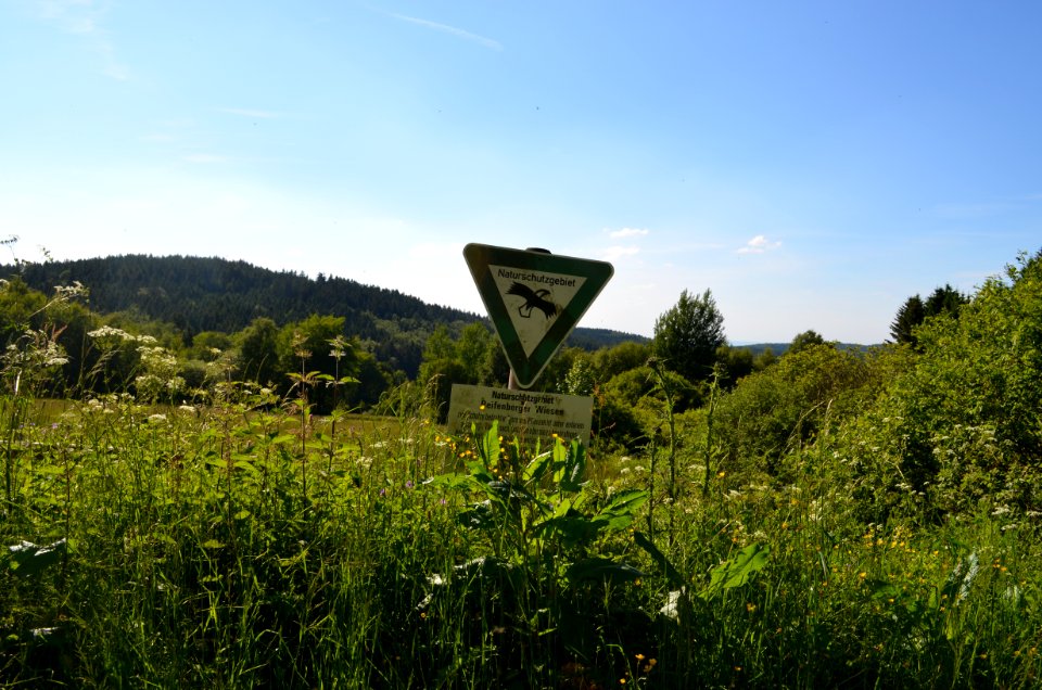 Reifenberger Wiesen und Weilsberg