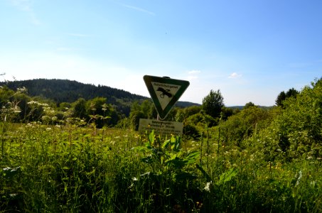 Reifenberger Wiesen und Weilsberg