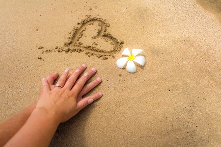 Heart flower hawaii