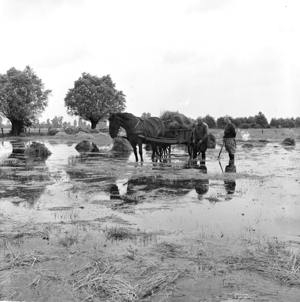 Regenoverlast bij boer Hofman uit Stokkumerbroek bij Mark, Bestanddeelnr 918-0210