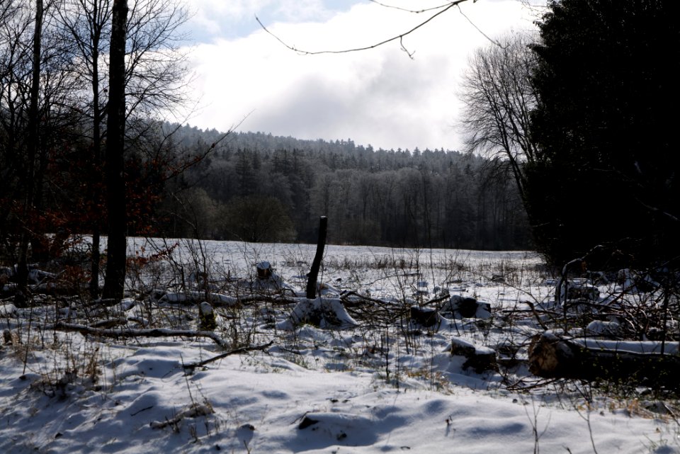 Reifenberger Wiesen with snow 2021-04-06 02