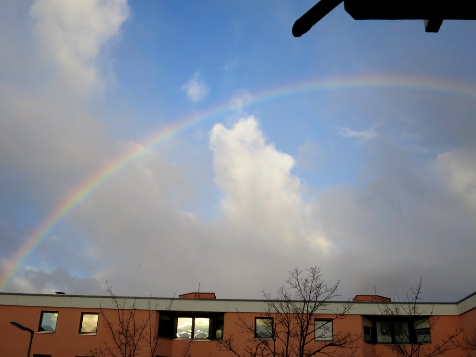 Regenbogen München