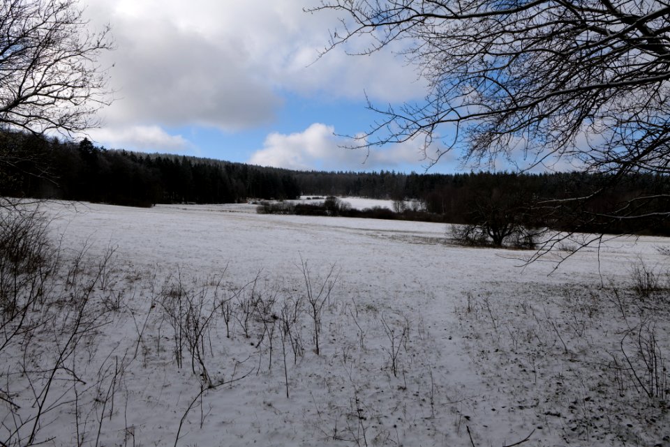 Reifenberger Wiesen with snow 2021-04-06 12