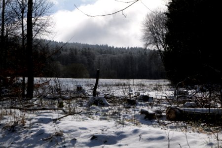 Reifenberger Wiesen with snow 2021-04-06 01