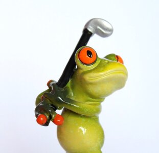 Green frog funny cute