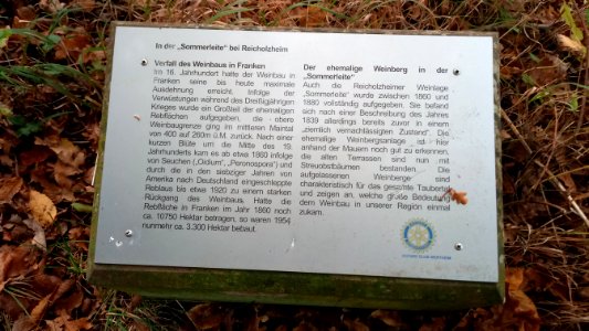 Reicholzheim Sommerleite ehem. Weinberg Infoboard