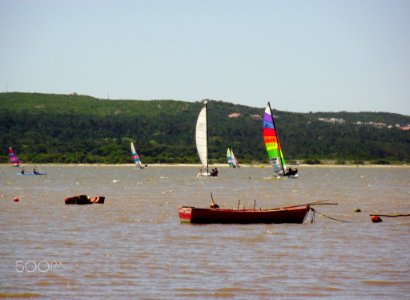 Regatta S Feelings Take Over (132977039)