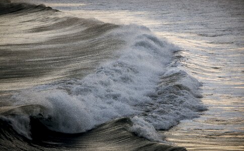 Beach foam nature photo