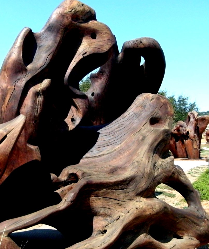 Redwood Sculpture (193902061)