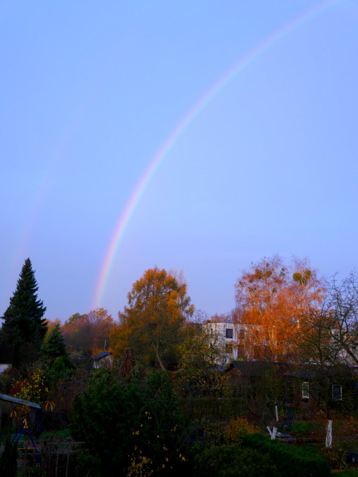 Regenbogen.Sonnenaufgang.180.Grad.P1280081