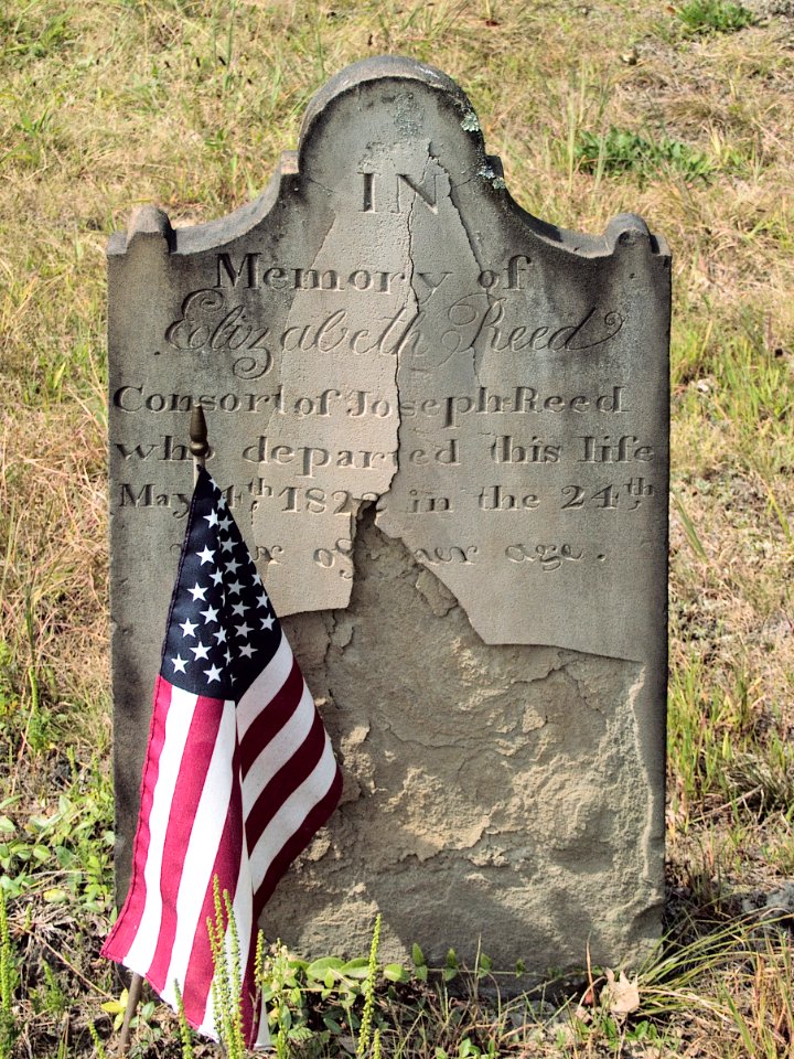 Reed (Elizabeth), Bethany Cemetery, 2015-08-30, 01