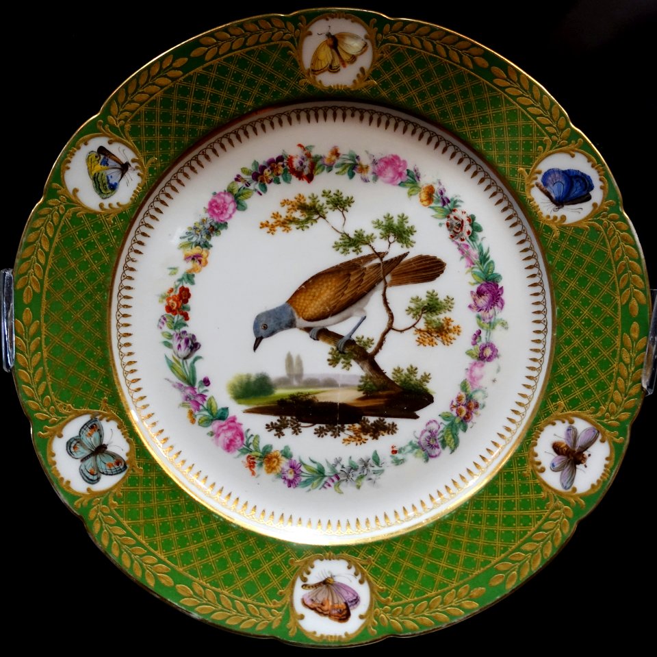 Red-tailed vanga, plate, painted by Jean-Pierre Feuillet, France, early 1800s, hard-paste porcelain - Montreal Museum of Fine Arts - Montreal, Canada - DSC08748