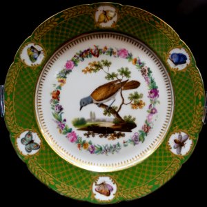 Red-tailed vanga, plate, painted by Jean-Pierre Feuillet, France, early 1800s, hard-paste porcelain - Montreal Museum of Fine Arts - Montreal, Canada - DSC08748