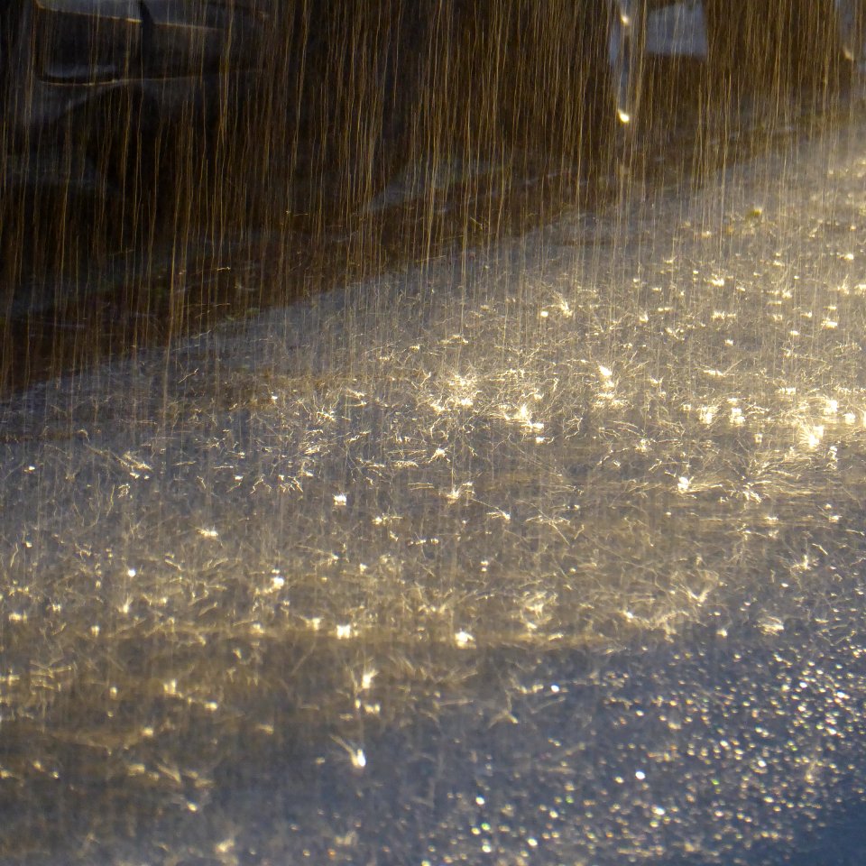 Regenschauer mit Bindfadenregen