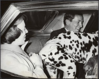 Reeks 017-1164 tm 017-1165 Beatrix en hond halen Claus af van Schiphol, Bestanddeelnr 017-1164