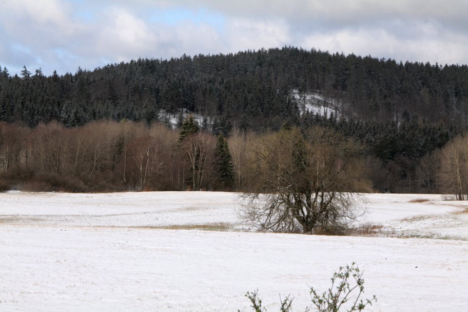 Reifenberger Wiesen with snow 2021-04-06 19