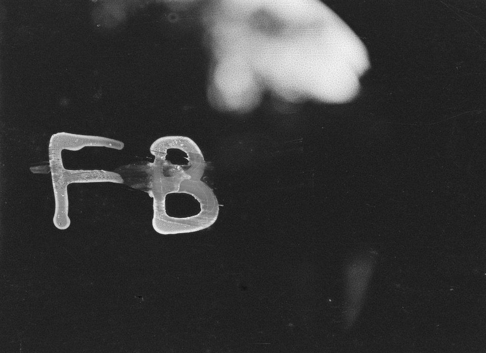 Registratienegatief FB, Bestanddeelnr 344-2-1