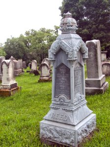Reed Monument, Oak Spring Cemetery, 2015-06-27, 01