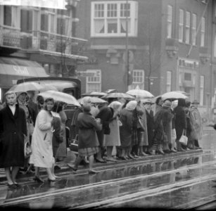 Regen in Amsterdam Vrouwen met paraplus, Bestanddeelnr 913-2903