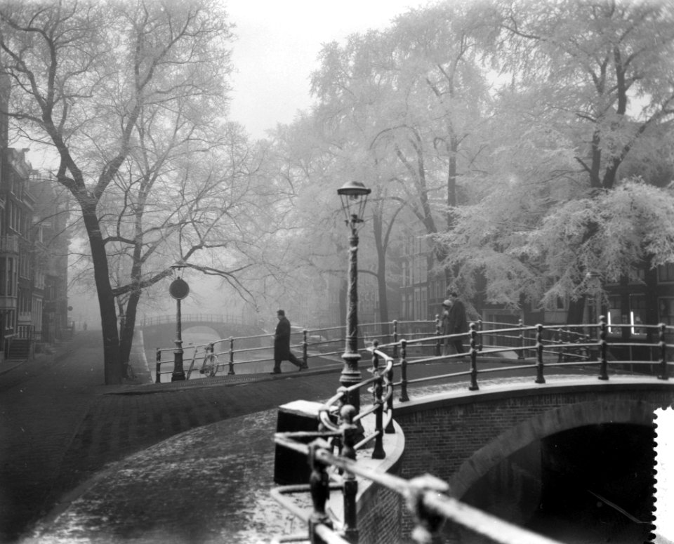 Reguliersgracht te Amsterdam met beijzelde bomen, Bestanddeelnr 910-1446
