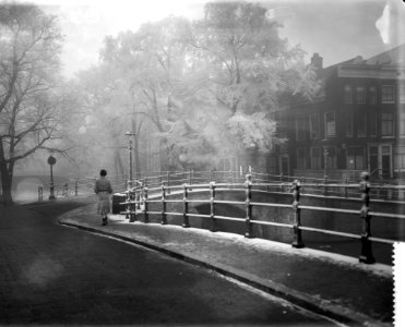 Reguliersgracht te Amsterdam met beijzelde bomen, Bestanddeelnr 910-1445