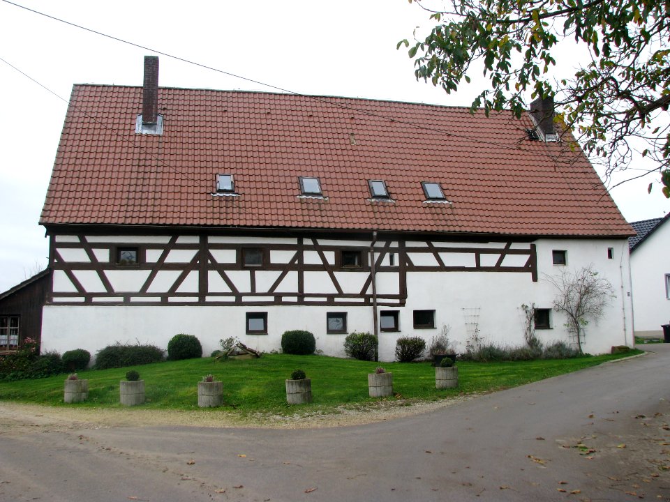 Reichenholz (Berg NM) (4)