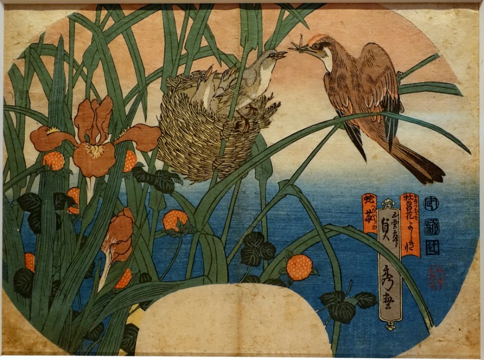Reed Warblers with Irises and Mock Strawberries, by Utagawa Sadahide, Japan, Edo period, dated 1834 AD, woodblock print on paper - Tokyo National Museum - Tokyo, Japan - DSC09293