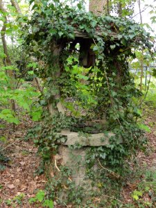 Reek (Landerd) Rijksmonument 519144 Klooster St. Elisabeth, tuinput