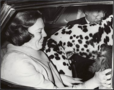 Reeks 017-1164 tm 017-1165 Beatrix en hond halen Claus af van Schiphol, Bestanddeelnr 017-1165
