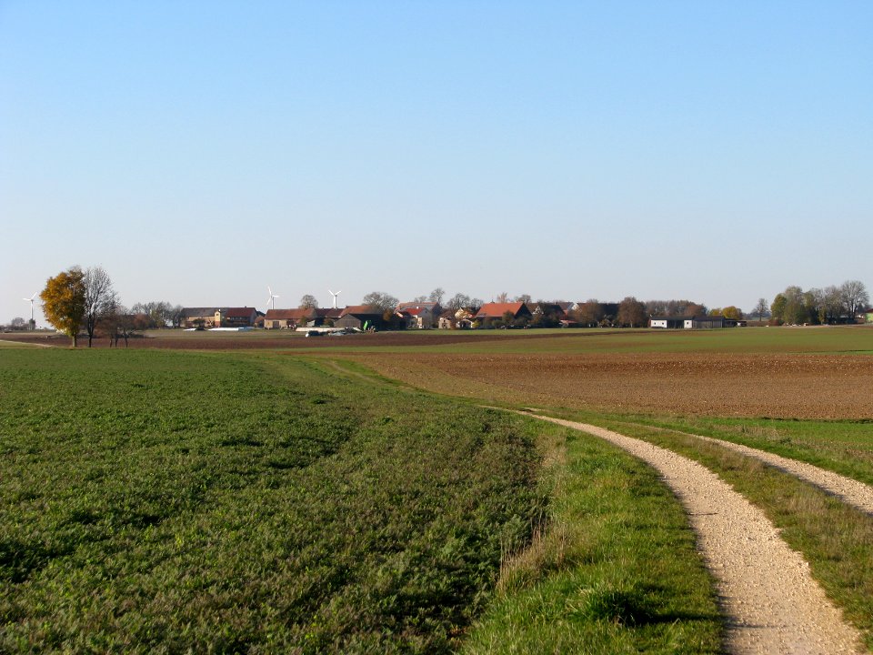 Reichersdorf (5)