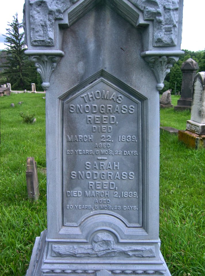 Reed Monument, Oak Spring Cemetery, 2015-06-27, 03