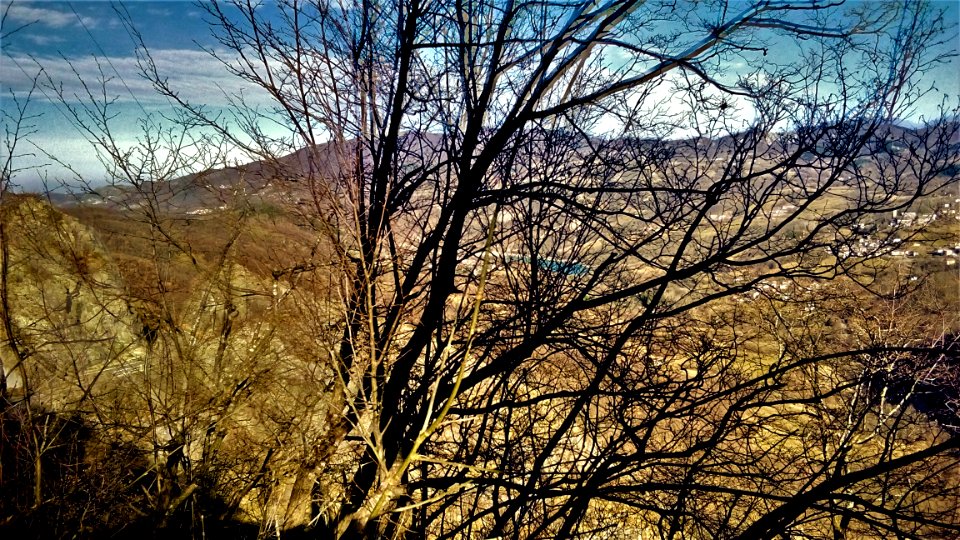 ReggioEmilia(ER) 04