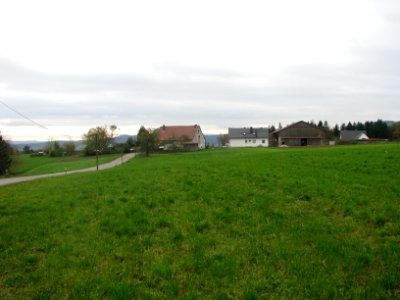 Reichenholz (Berg NM) (3)