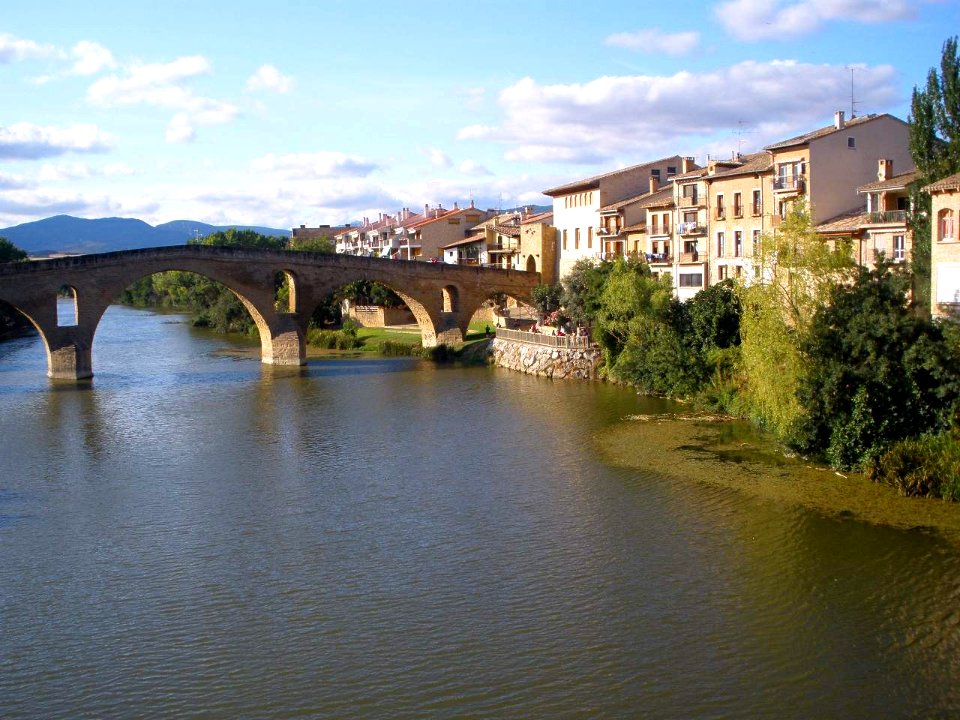 Puente la Reina - Puente románico sobre el Arga 2