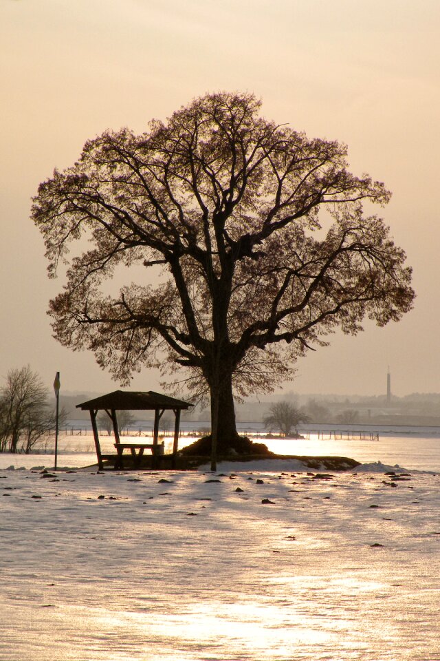 Wintry snow cold
