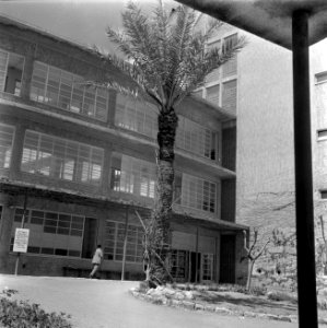 Regeringsziekenhuis met een perkje ervoor, Bestanddeelnr 255-0261