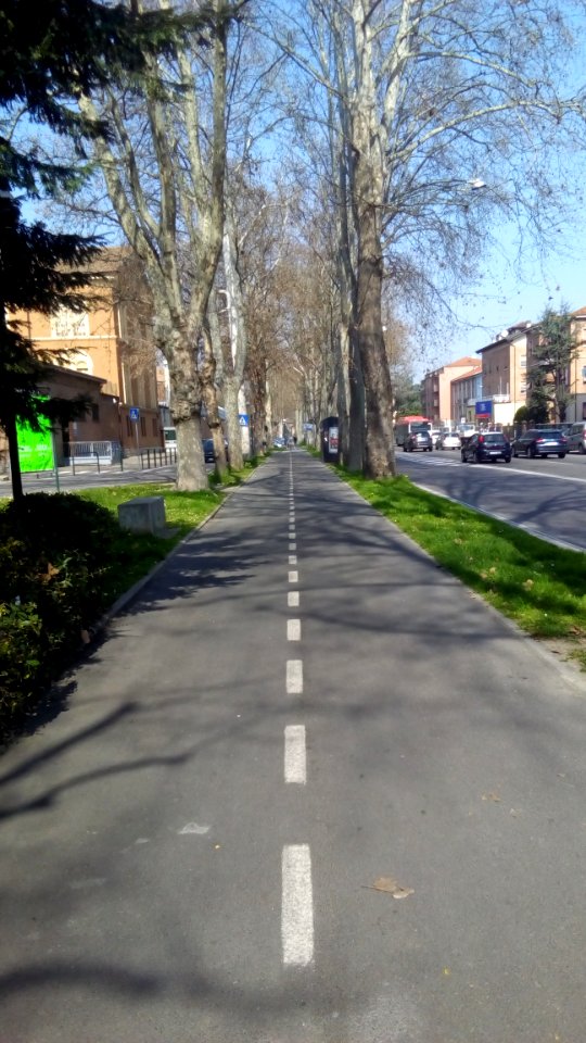 Reggio Emilia371