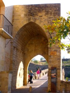 Puente la Reina - Puente románico sobre el Arga 8