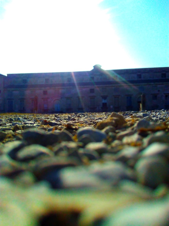 Reggia di Rivalta7y